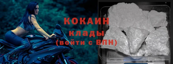 стафф Медногорск