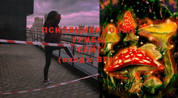 стафф Медногорск