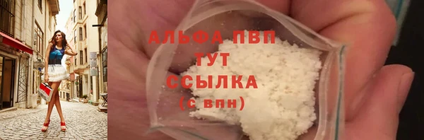 стафф Медногорск