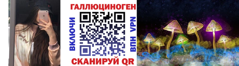 Галлюциногенные грибы Magic Shrooms  где купить наркоту  площадка наркотические препараты  Янаул 