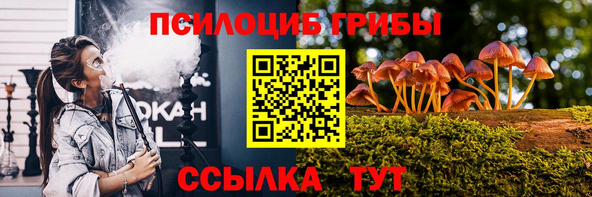 Псилоцибиновые грибы Psilocybine cubensis Янаул